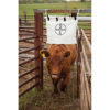 HANG-RIGHT DUST BAG