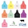 ALLFLEX LARGE FEM/SM MALE PINK BLANK  25/BG