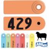 ALLFLEX SHEEP MALE/SHEEP FEM GREEN 76-100