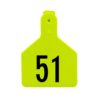 Z-TAG CALF CHARTREUSE LASER 51-75