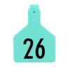 Z-TAG CALF TURQUOISE LASER 26-50