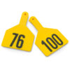 Z-TAG COW LASER YELLOW 76-100