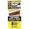 TOMCAT RAT GLUEBOARDS 2PK