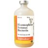SOMUBAC 50 DS 100 ML/BT