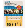 ALLFLEX LARGE FEM/SM MALE YELLOW 51-75
