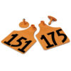 ALLFLEX MAXI FEM/SM MALE ORANGE 151-175