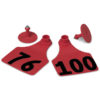 ALLFLEX LARGE FEM/SM MALE RED 76-100