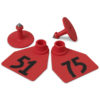 ALLFLEX MEDIUM FEM/SM MALE RED 51-75