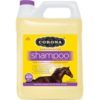 Corona Shampoo Concentrate 3 liter