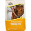 Manna Pro Bite Size Butterscotch Nuggets 4lb