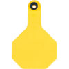 Y-TEX 3 STAR 2PC BLANK YELLOW 25/BG