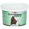 GLUCOSAMINE 5000 POWDER 5lb pail