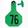 Y-TEX 3 STAR 2PC GREEN 76-100
