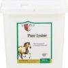 Pure Lysine supplement 448 day supply 4 lbs