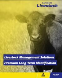Datamars Livestock Identification Catalog