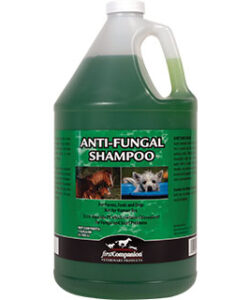 FIRST COMPANION ANTI-FUNGAL SHAMPOO GALLON