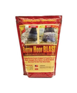 BIOTIN HOOF BLAST 800MG BAG 10 LB