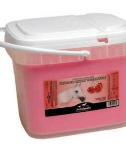 FIRST COMPANION EQUI-DEX ELECTROLYTE CHERRY 30 LB