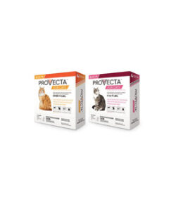 PROVECTA® IMIDACLOPRID/PYRIPROXYFEN FLEA PROTECTOR 5-9 LB CAT 4/PKG 4 PKG/CS