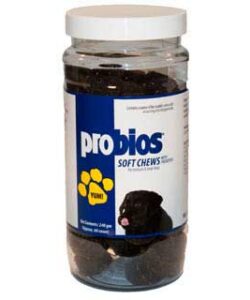 Probios Soft Chew 4 gm 60 ct jar