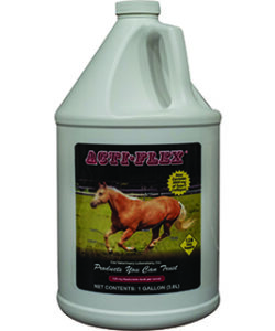 ACTI FLEX 4000 LIQUID JOINT SUPPLEMENT GALLON