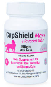 CapShield Maxx Tablets Cat 7-15 lb 6 ct
