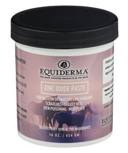 EQUIDERMA ZINC OXIDE PASTE 16 OZ JAR 1/PKG