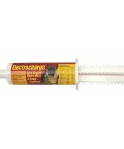 ELECTROCHARGE PASTE 60 CC