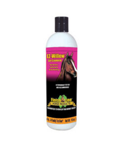EZ-WILLOW LINIMENT GEL 16 OZ