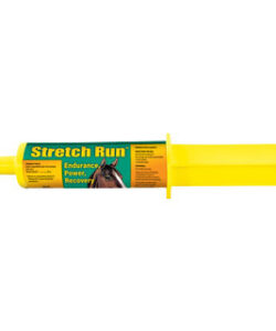 STRETCH RUN 2 OZ SYRINGE 1/PKG