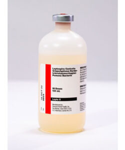 LEPTO SHIELD 5 100 ML (50 DOSES)