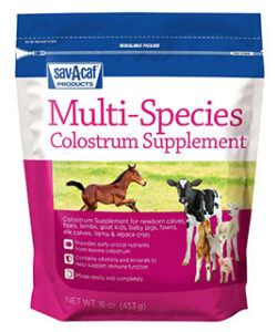 SAV-A-CAF MULTI-SPECIES COLOSTRUM SUPPLEMENT 16 OZ