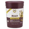 HORSE HEALTH REACH JOINT PELLETS (45-DAY SUPPLY) 2.81 LB PAIL