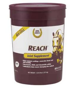 HORSE HEALTH REACH JOINT PELLETS (45-DAY SUPPLY) 2.81 LB PAIL