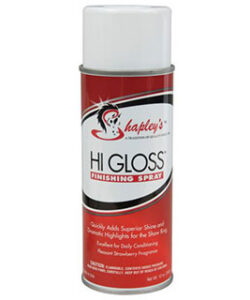 HI GLOSS FINISHING SPRAY 12OZ