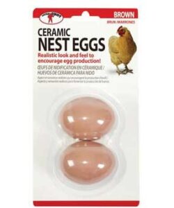LITTLE GIANT NEST EGG CERAMIC BROWN 2/PKG